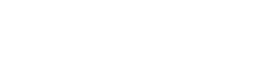 SALC Group